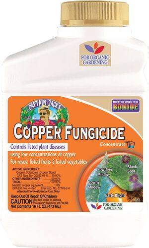 Captain Jack's Liquid Copper Fungicide Concentrate - 16 oz