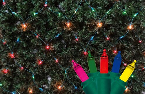 150-Count Holiday Net Light Set in Multi
