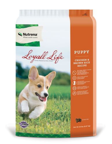 Loyall Life Puppy Chicken & Brown Rice - 20 Lb