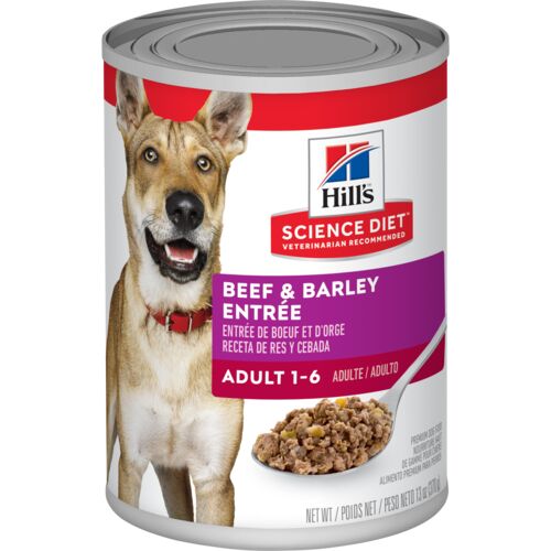 Adult Beef & Barley Entree Dog Food - 13 oz