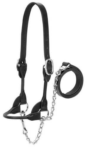 Dairy/Beef Rounded Show Halter Black Small