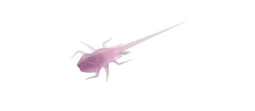 B.A.M.F. Soft Panfish Bait - Purple Rain