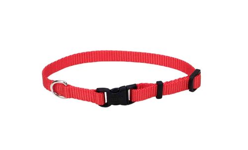 Adjustable Nylon Pet Collar in Red