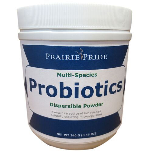 Multi-Species Probiotic Dispersible Powder - 240 g