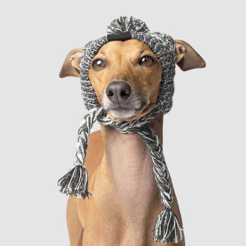 Polar Pom Pom Hat for Dogs in Charcoal