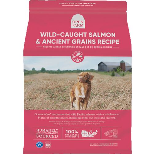 Salmon & Ancient Grains Recipe Dry Dog Food