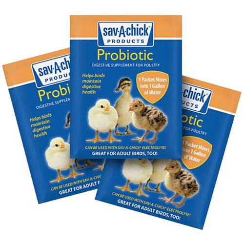 Poultry Probiotic Supplement - .17 oz