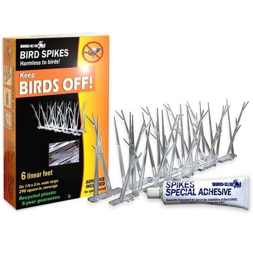 Bird Spikes 10' Kit