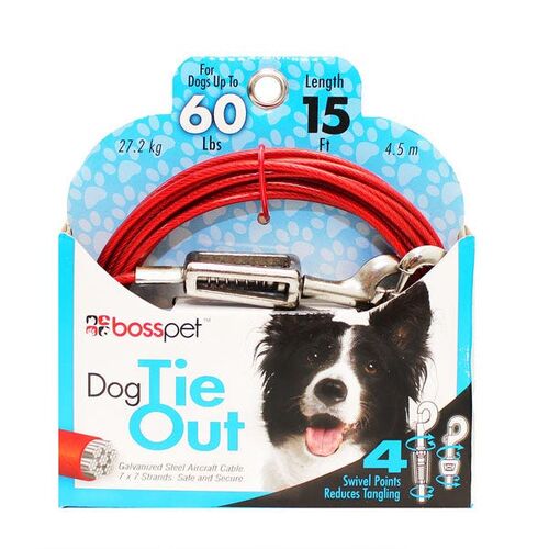 30' Length Belt/Cable Tie Out with Spring
