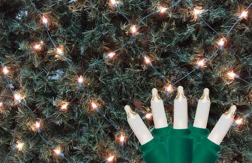 150-Count Holiday Net Light Set in Clear