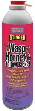 Wasp & Hornet Foam Aerosol - 15 oz