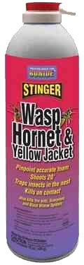 Wasp & Hornet Foam Aerosol - 15 oz