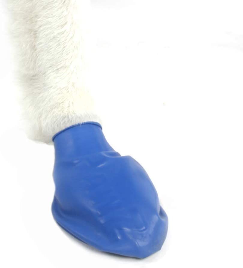 Rubber Dog Boots Medium in Blue