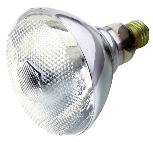 High Efficiency Light Bulb