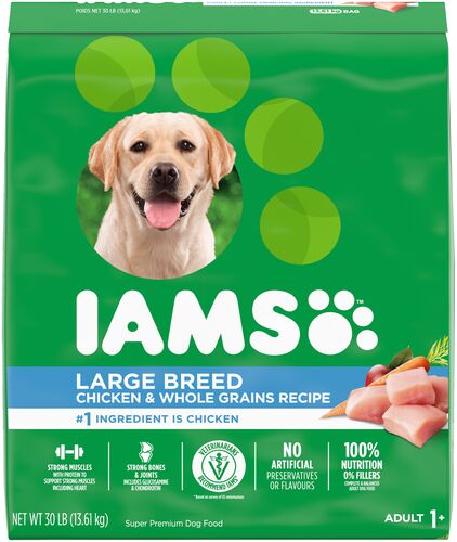Adult Large Breed Chicken and Whole Grain Dry Dog Food