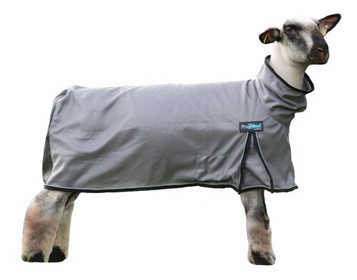 ProCool Sheep Blanket in Gray